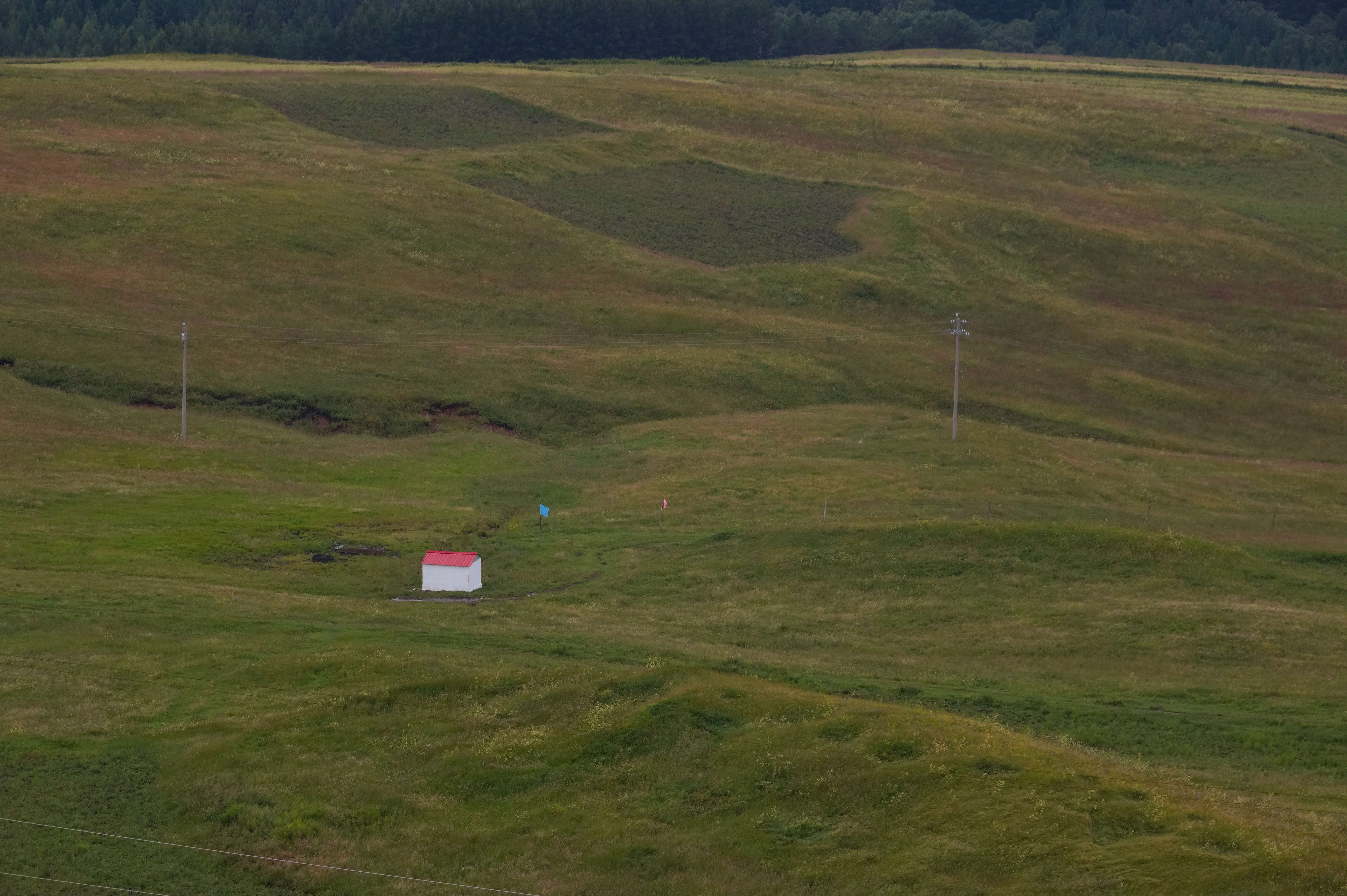 Vibe Coding 挑战 | 证件照制作工具