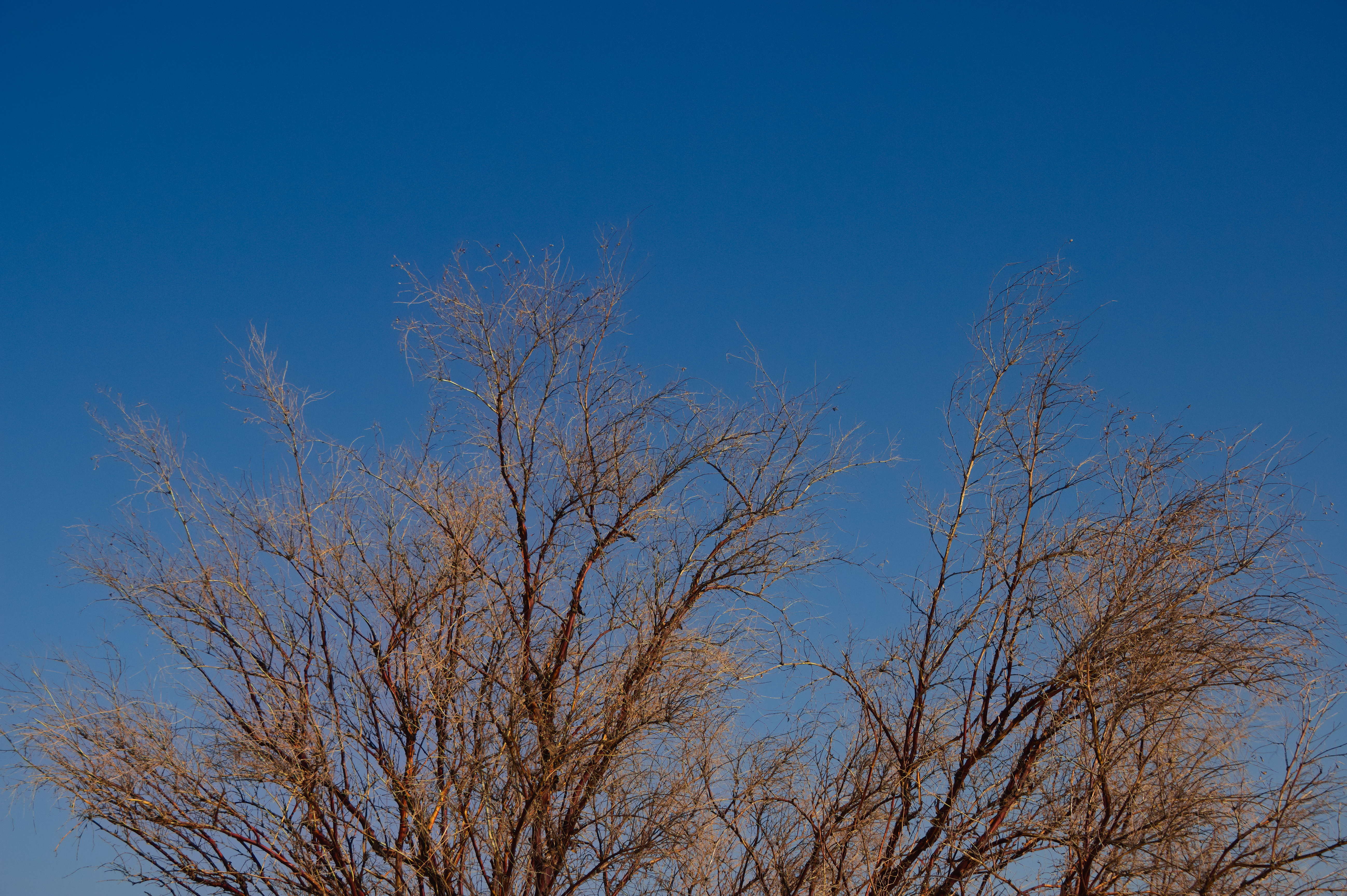 从混沌到清晰：未知问题的三种分类